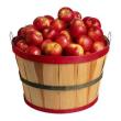 Almát keresünk takarmányozási célra!